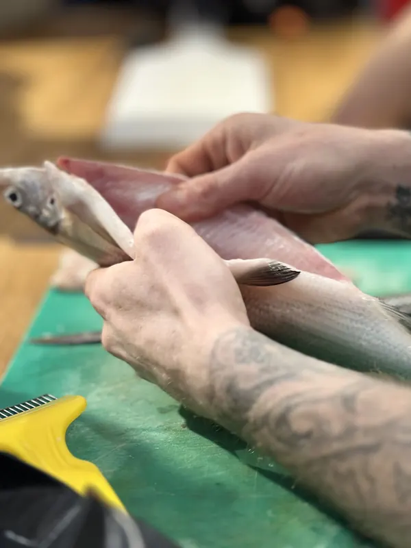 Ein Fischfilet wird mit dem Messer sauber von der Gräte gelöst