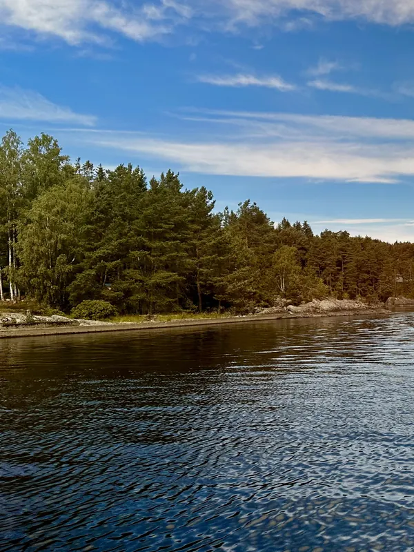 Bewaldetes Seeufer bei Sonnenschein auf der Fischerreise
