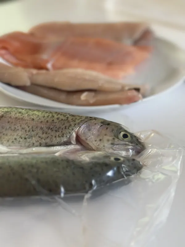 Ganze Regenbogenforellen vor einem Teller mit fertigen Filets