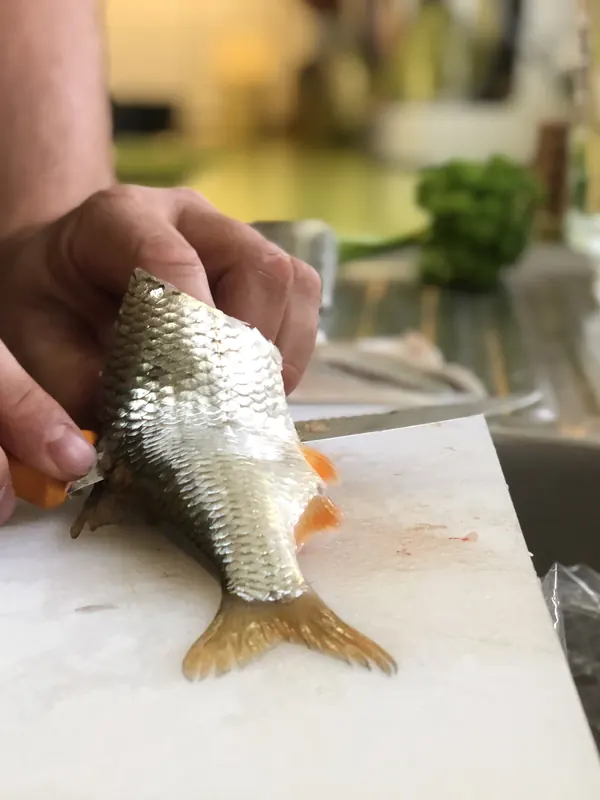Ein Weissfisch wird auf dem Brett mit dem Messer geschuppt