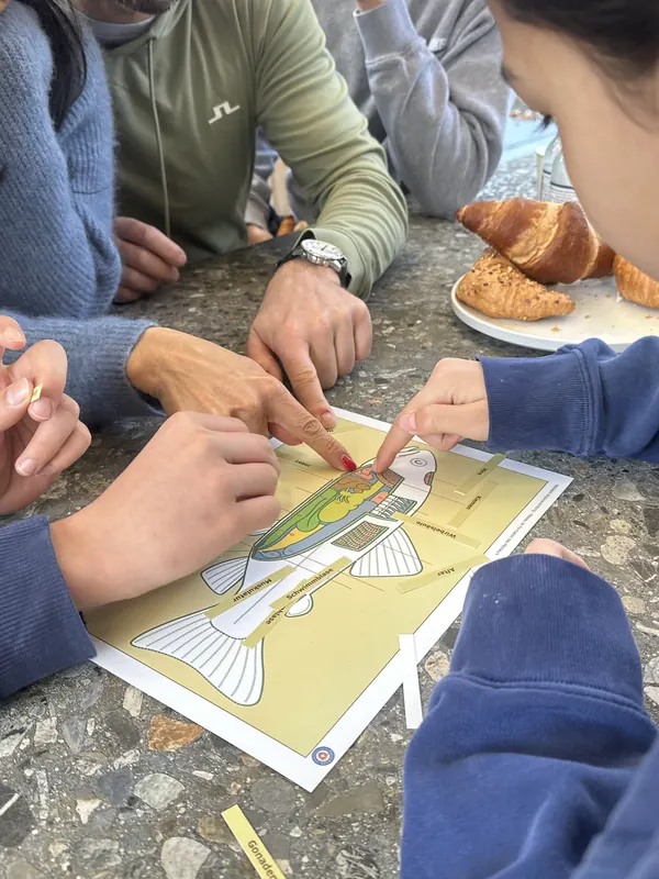 Jugendliche zeigen an einer Fischzeichnung die Körperteile, daneben Gipfeli