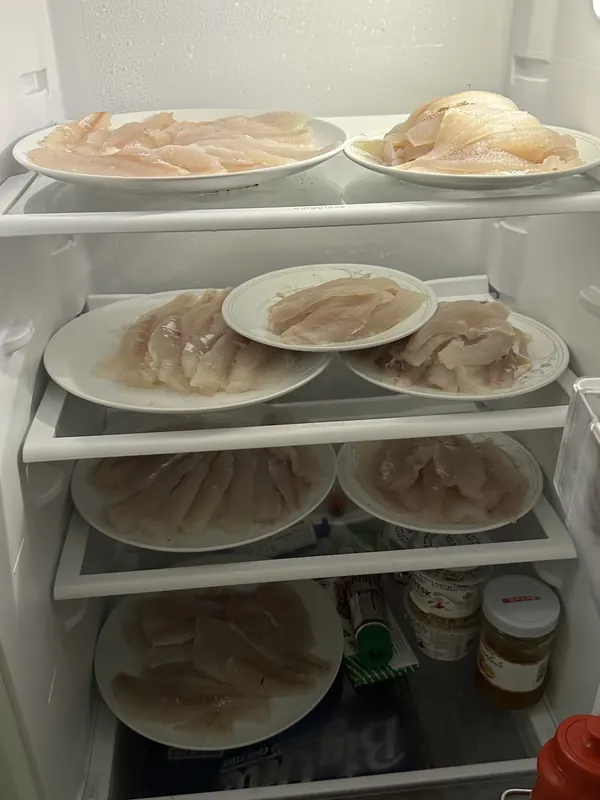 Kühlschrank voller Teller mit frischen Fischfilets