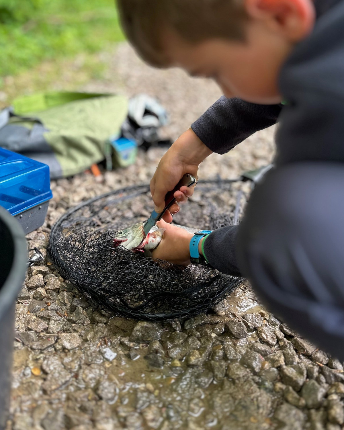 Fachgerechter Umgang mit einem gefangenen Fisch