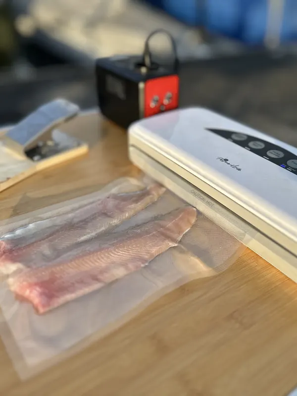 Frische Fischfilets werden mit dem Vakuumiergerät verpackt